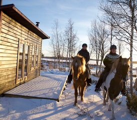 7 Tage Winter Pferdereiturlaub in Kiruna, Schweden - Photo 4