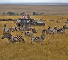 55 jours en safari de groupe et de camping en Tanzanie avec les incontournables - Photo 1