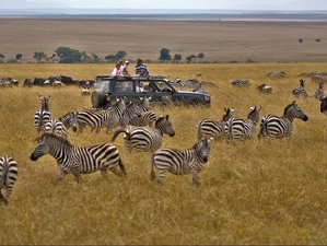 5 Day Highlights of Tanzania Group and Camping Safari