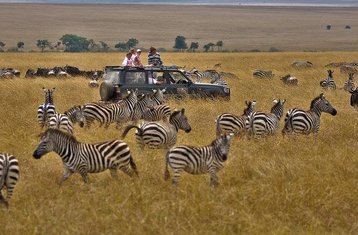 5 días de safari en grupo y camping por lo mejor de Tanzania