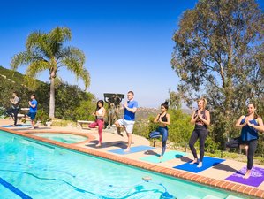 6 Day Living in Love: Wellness Retreat in San Diego, California