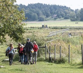 8 jours en stage de bien-être et yoga à Vaddo, Suède - Photo 4