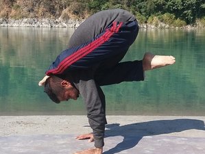 21 Day 200-Hour Multi-Style Yoga Teacher Training Course in Rishikesh, India