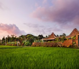 7 Day Inner Clarity Private Retreat in Ubud, Bali, Indonesia - Photo 2