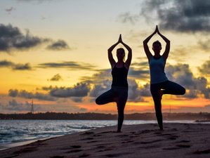 7-tägiges Qigong- und Yin-Yoga-Retreat in Tangalle, Südprovinz, Sri Lanka