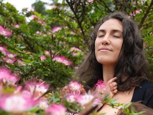 14 Tage Frauen Retreat: Das Göttliche Weibliche Störken in Iquitos, Provinz Maynas