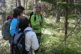 3 jours en séjour de randonnée, plantes sauvages et bain de forêt dans l’Embrunais en France