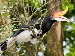 2 Day Sea Stack And Bako National Park Wildlife Tour In Sarawak Malaysia Bookallsafaris Com