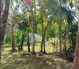 7 Tage Yoga- und Meditationsretreat in Ek Balam, Mexiko für Frauen - Photo 5