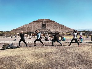 21 Day 200-Hour Yoga Teacher Training Course Akhanda and Osho Mexico City
