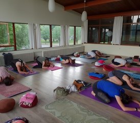 3 Day Energizing Yoga Holiday Weekend on the Beautiful Seaside of Cadzand, Netherlands - Photo 2