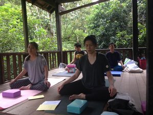 2 Day Sound Therapy, Meditation, and Yin Yoga Retreat in Bentong, Pahang