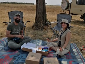 6 Day Tarangire, Lake Manyara, Serengeti, and Ngorongoro Group Joining Safari in Tanzania