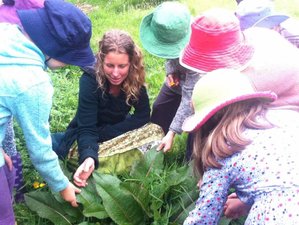 11 Day Shamanic Herbal Apprenticeship in Piha, New Zealand