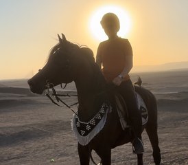 5 Tage Unvergesslicher Reiturlaub in Luxor, Ägypten - Photo 2