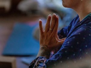 20-Hour Self-Paced Online Restorative Yoga Teacher Training