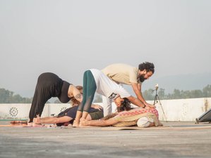 10 jours-100h en formation de professeur de yoga, ayurveda, guérison holistique et somatique hybride à Rishikesh, Inde