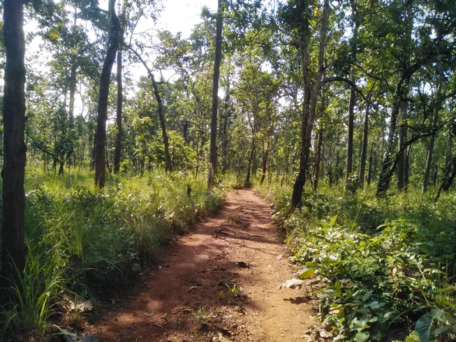 1 Day Non-Residential Guided Off-Road Enduro Tour in Chiang Mai, Thailand photo 6