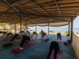 5  Day Fresh Beach Yoga Retreat in Canacona, India