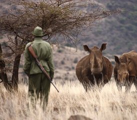 15 Day Wildlife, Apes, Chimpanzees, and Nature Safari Tour in Uganda - Photo 4