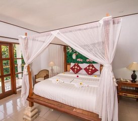 28 días de curso de profesorado de yoga de 300 horas, científico y espiritual, de varios estilos en Bali, Indonesia - Photo 3