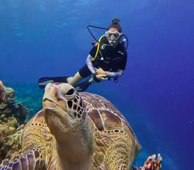 8 jours en stage de yoga et snorkeling aux Maldives - Photo 3