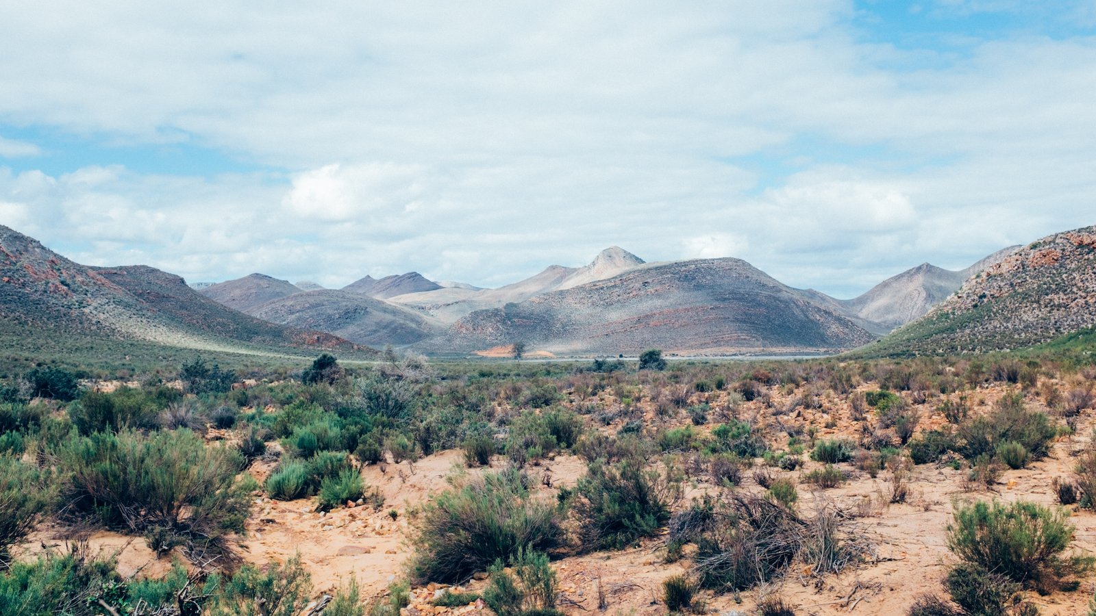 Гора сафари. Ландшафт Северной Африки. Wilderness South Africa.