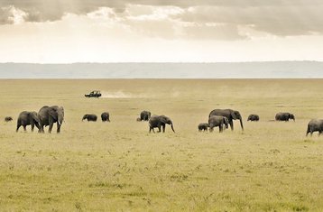 5-Daagse Keniaanse Safari en Wilderniservaring in Amboseli, Tsavo East en Tsavo West Nationaal Parken