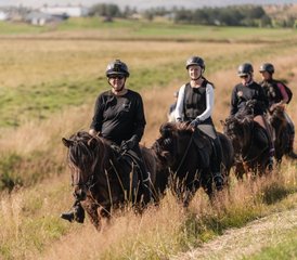 4 Tage Reiturlaub und Golden-Circle-Besichtigung in Island - Photo 2