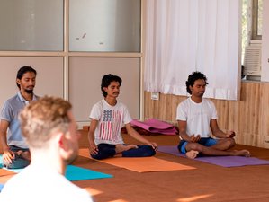14-Daagse Ayurveda, Meditatie en Yoga Retreat op het eiland Valiyaparamba, Kerala