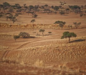 3 jours en stage de safari en Namibie à Sossusvlei, Namibie - Photo 3