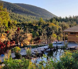 118 días de retiro de yoga ecológico y naturaleza en Milas, Turquía - Photo 1