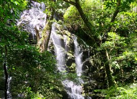 Liberia Retreats & Trips