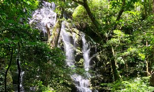 Liberia Retreats & Trips