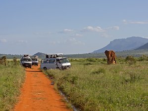 4 Day Unforgettable Safari Experience in Mara and Nakuru, Kenya