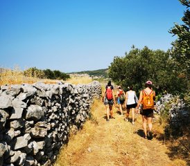 7 Day Yogi Explorer - Yoga and Soft Adventure Holiday on Hvar Island, Croatia - Photo 4