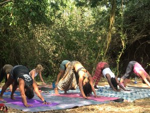 4 Day Return to Source Wellness Retreat in Kilifi, Kenya