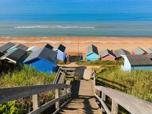 3 jours en retraite de yoga côtier dans le New Forest, Hampshire, Royaume-Uni