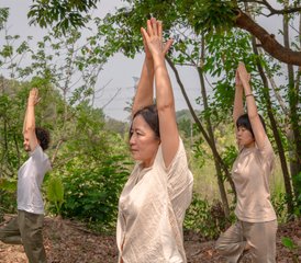 05 Day Ayurvedic Life Energy Transforming Retreat With Yoga in Tainan, Taiwan - Photo 1