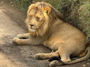 5 Day Unforgettable Classic Serengeti Safari in Tanzania