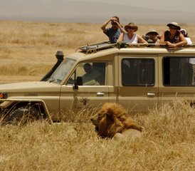 8 Tage Serengeti & Beyond: eine Tansania Safari in Tarangire, Lake Manyara und Ngorongoro Krater, Tansania  - Photo 2