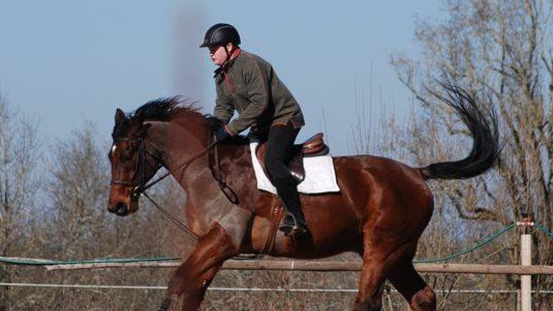 7 Day Individually Tailored Horse Riding Training in Coutras, near Bordeaux