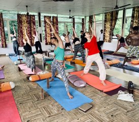 14 Day Mental, Physical, and Emotional Improvement Retreat in Tapovan, India - Photo 5