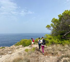 5 Day Awaken Your Well-Being Yoga, Hiking, and Forest Therapy in Mallorca, Spain - Photo 5
