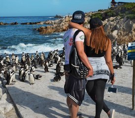 67 Tage Das Beste von Kapstadt, Weinländer und Garden Route Safari in Südafrika - Photo 1