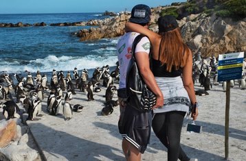 7 Tage Das Beste von Kapstadt, Weinländer und Garden Route Safari in Südafrika