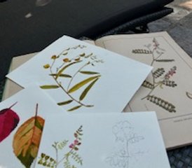 6 jours en retraite artistique au Kerala, Inde : Imprégnez-vous de la créativité, entouré de beauté - Photo 3