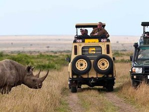 7 Days Safari in Tarangire, Serengeti, Ngorongoro Crater, and Lake Manyara, Tanzania
