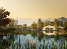 Chengdu Retreats und Reisen