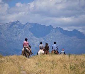89 Day Transhumance Horse Riding Tour in Spain - Photo 1
